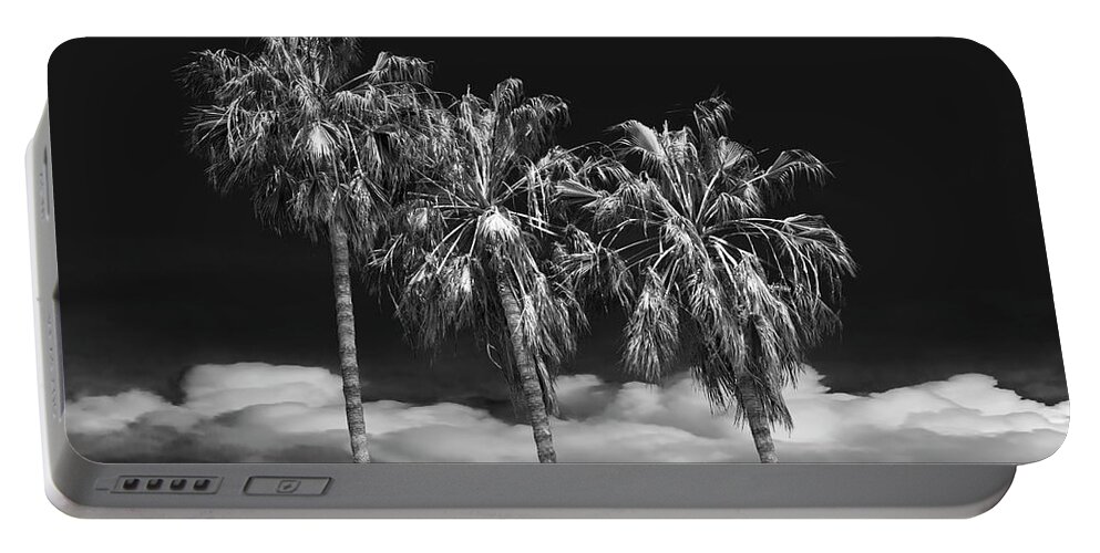 Tree Portable Battery Charger featuring the photograph Palm Trees in Black and White on Cabrillo Beach by Randall Nyhof