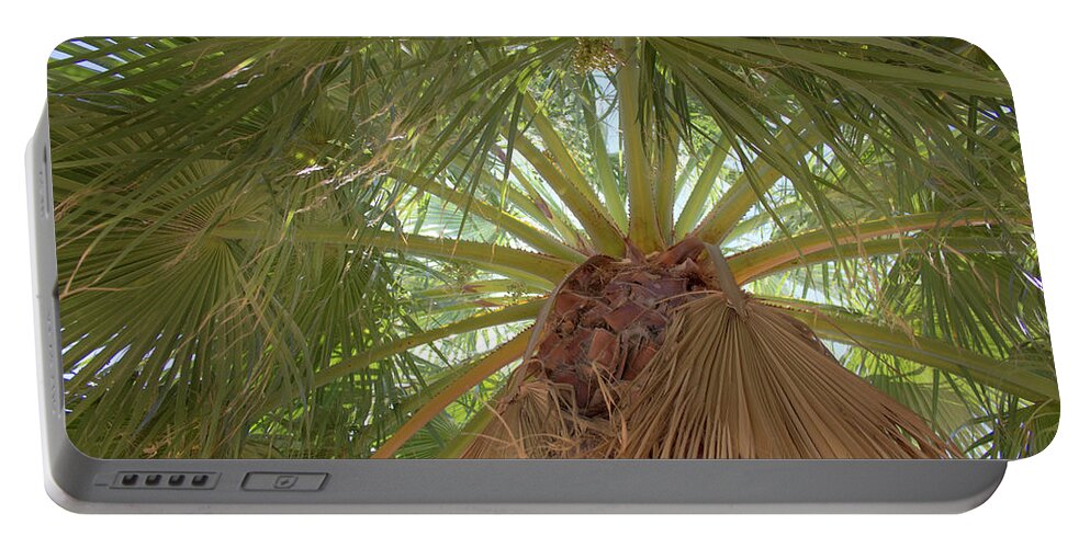 Palm Portable Battery Charger featuring the photograph Palm view by Darrell Foster