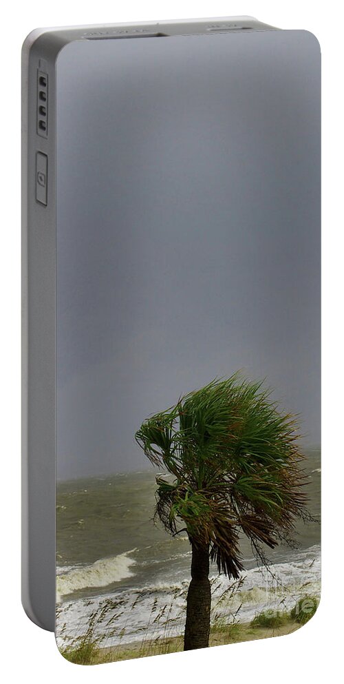 Nature Portable Battery Charger featuring the photograph Palmetto Persistence by Skip Willits