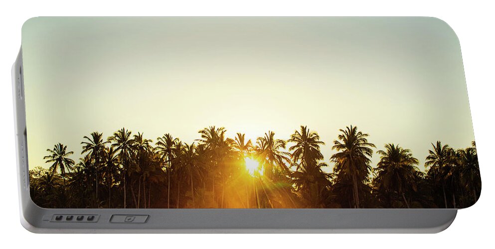 Surfing Portable Battery Charger featuring the photograph Palms And Rays by Nik West
