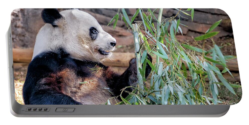 Fur Portable Battery Charger featuring the photograph Panda Dining on Bamboo by Kathleen K Parker