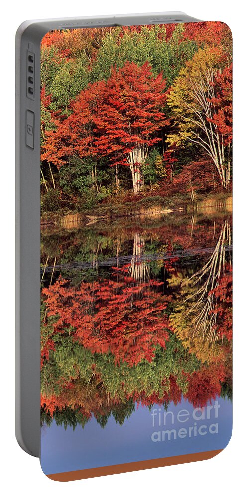 Dave Welling Portable Battery Charger featuring the photograph Panoramic Fall Color Thorton Lake Upper Penninsula Michigan by Dave Welling