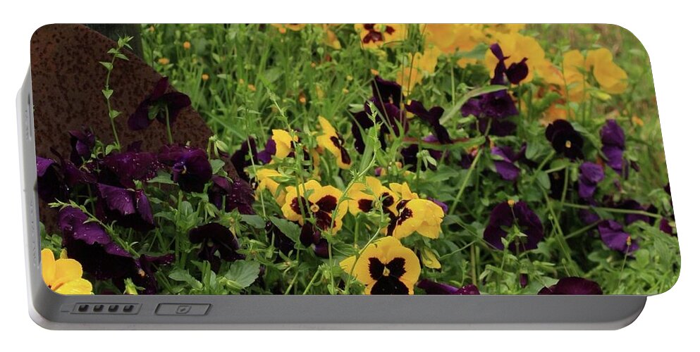Pansies Portable Battery Charger featuring the photograph Pansies by Kim Henderson