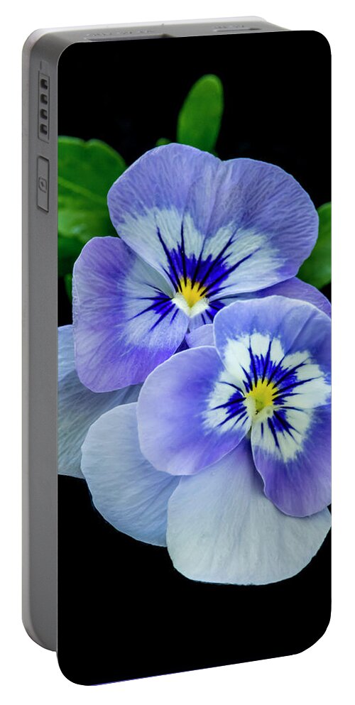 Greeting Card Portable Battery Charger featuring the photograph Pansy Portrait by Cathy Kovarik