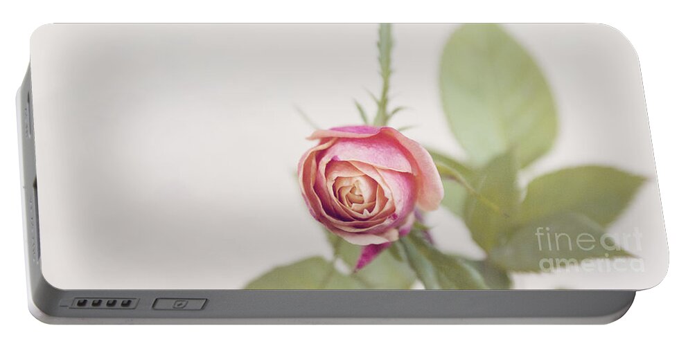 Rose Portable Battery Charger featuring the photograph Parade rosebud by Cindy Garber Iverson