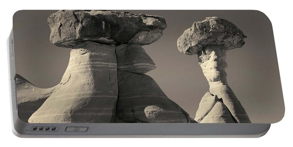 Black Portable Battery Charger featuring the photograph Paria Utah XIII Toned by David Gordon