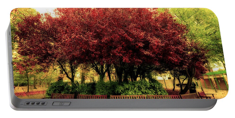 Autumn Portable Battery Charger featuring the photograph Park by Svetlana Sewell