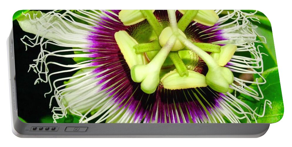 Flowers Of Aloha Passion Flower 1 Hawaii Portable Battery Charger featuring the photograph Passion Flower 1 by Joalene Young