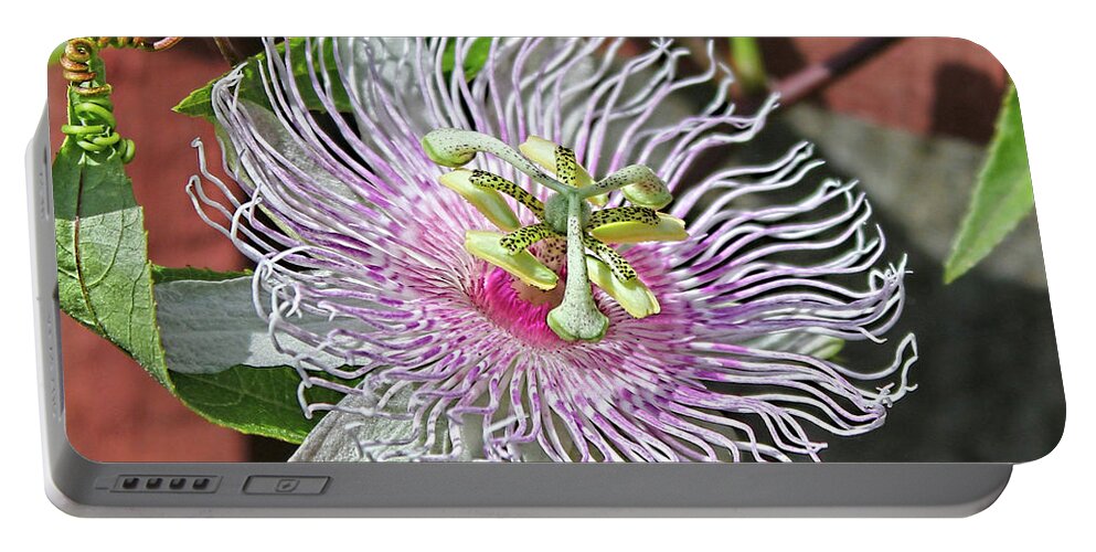 Passion Flower Portable Battery Charger featuring the photograph Passion Flower by Ronda Ryan