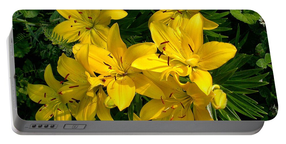 Flowers Portable Battery Charger featuring the photograph Patch of Yellow Lilies by Sandra Huston