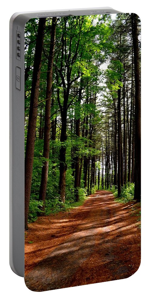  Portable Battery Charger featuring the photograph Path in the Woods by Monika Salvan