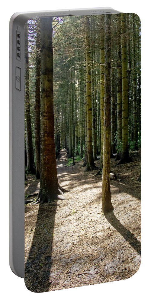 Beecraigs Portable Battery Charger featuring the photograph Path through the woods. by Elena Perelman