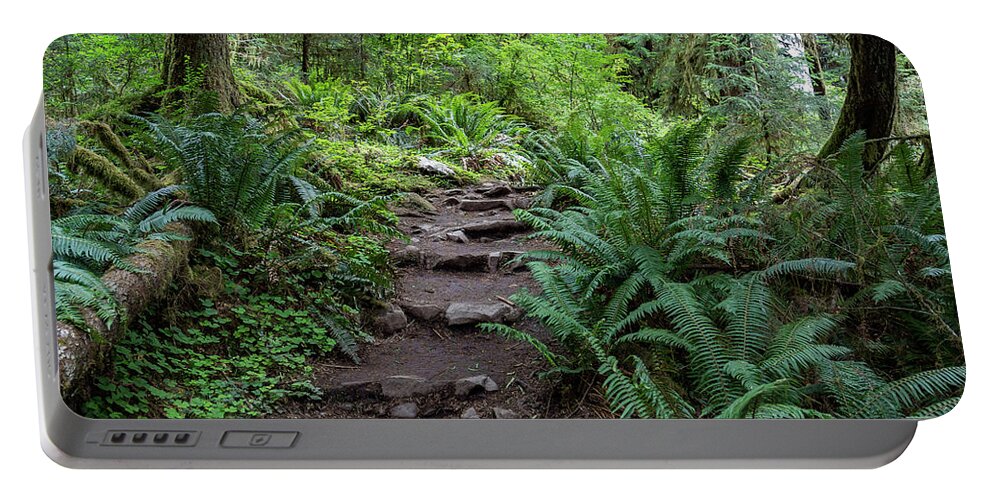 Ferns Portable Battery Charger featuring the photograph Pathway into the Forest by Roslyn Wilkins