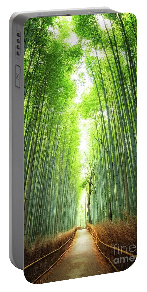 Bamboo Portable Battery Charger featuring the photograph Pathway through the bamboo grove Kyoto by Jane Rix