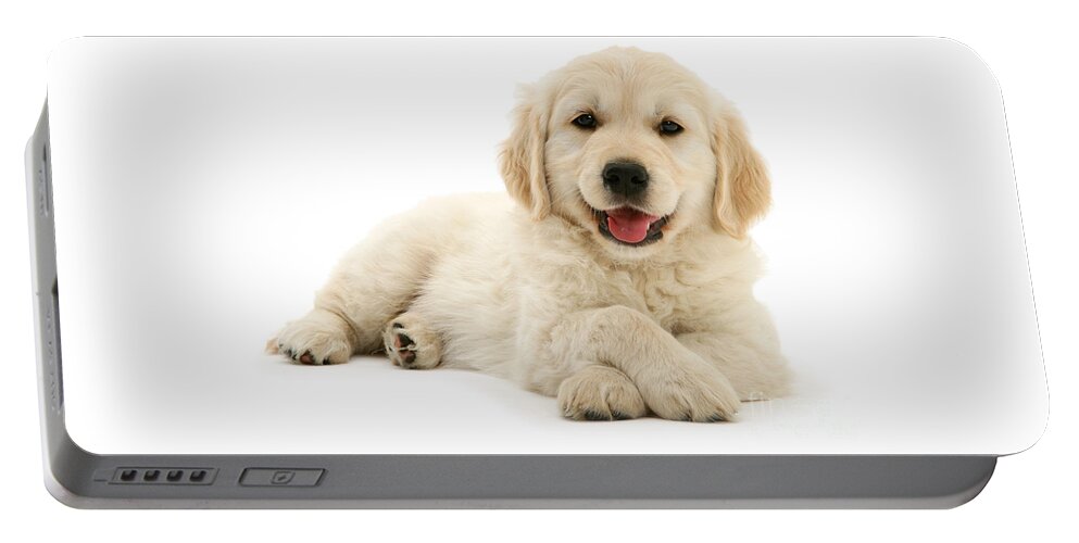 Golden Retriever Portable Battery Charger featuring the photograph Paws Crossed Pup by Warren Photographic