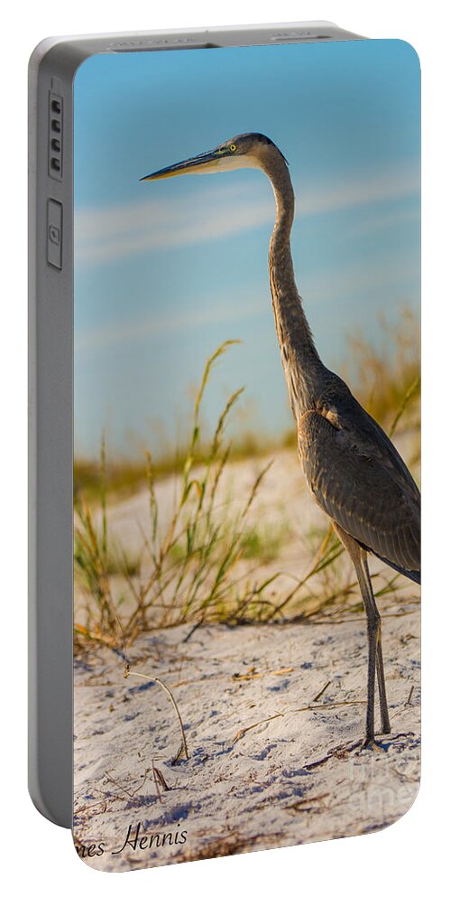 This Beautiful Bird Portable Battery Charger featuring the photograph Peace on the Beach by Metaphor Photo
