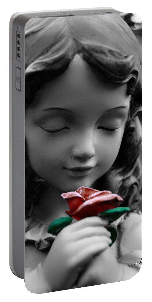 Serenity Portable Battery Charger featuring the photograph Peaceful Thoughts by Nathan Little