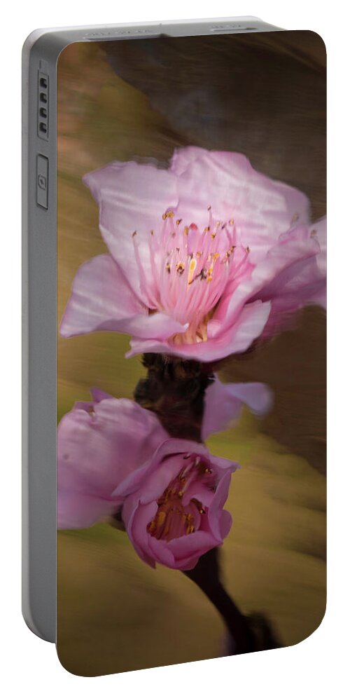 Peach Blossom Portable Battery Charger featuring the photograph Peach Blossom Through Glass by David Waldrop