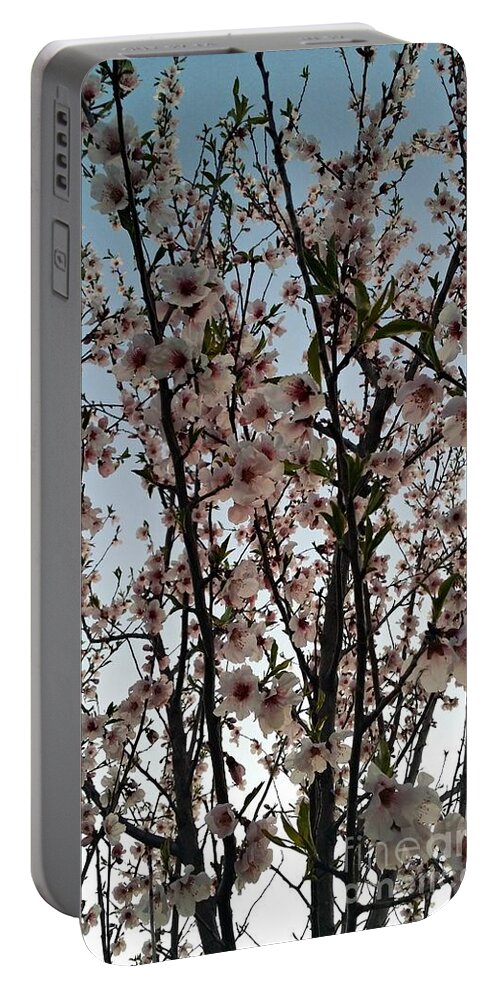 Peach Portable Battery Charger featuring the photograph Peach Blossoms by Diamante Lavendar