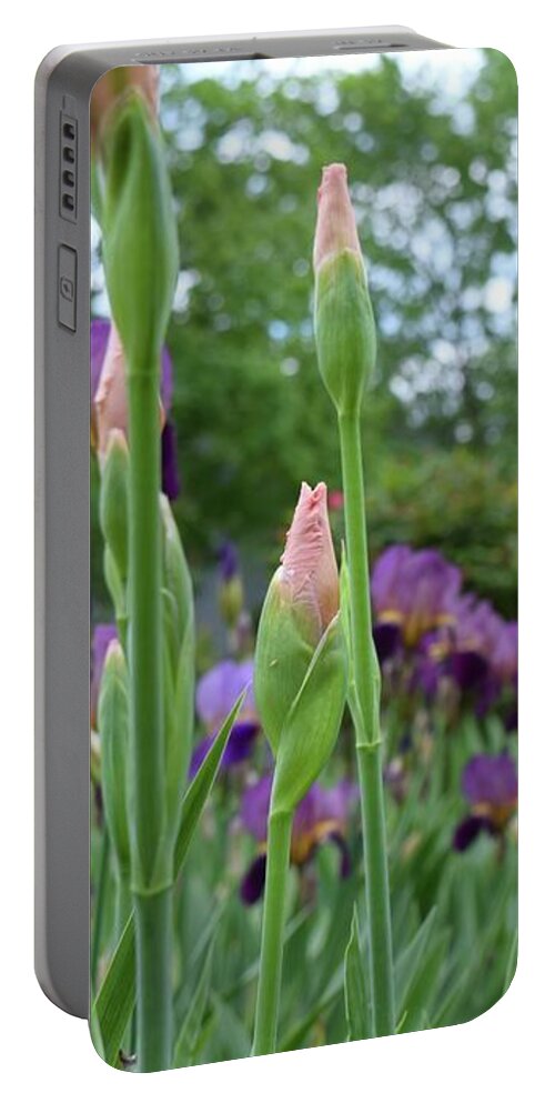 Barrieloustark Portable Battery Charger featuring the photograph Peach Burgundy and Purple Iris by Barrie Stark