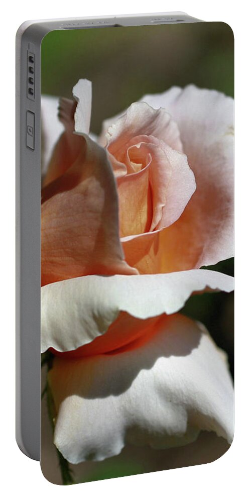 Flower Portable Battery Charger featuring the photograph Peach Rosebud In Sunlight by Smilin Eyes Treasures