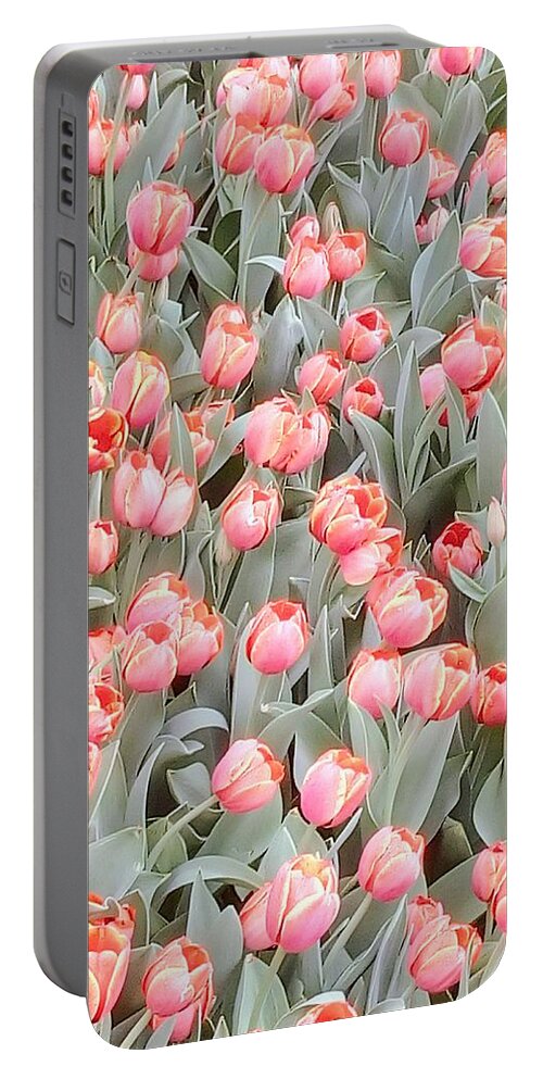 Peach Portable Battery Charger featuring the photograph Peach Tulips 2 by Oleg Zavarzin
