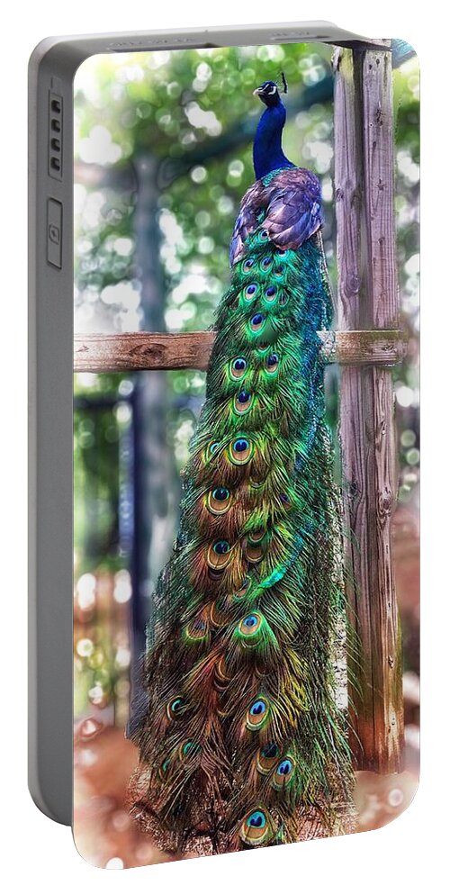Peacock Portable Battery Charger featuring the photograph Peacock Magic by Doris Aguirre