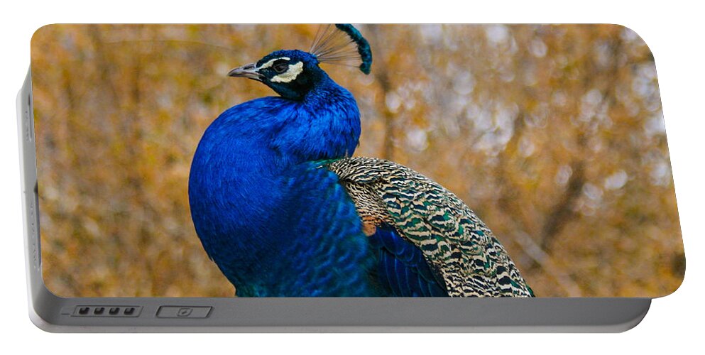Peacock Portable Battery Charger featuring the photograph Peacock Pose by Mindy Musick King