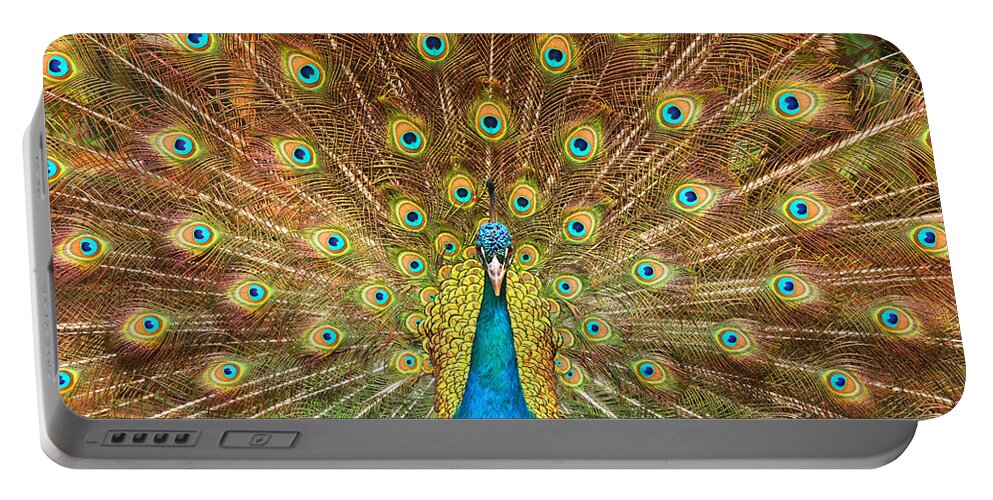 Animal Portable Battery Charger featuring the photograph Peacock showing its feathers XL by Patricia Hofmeester