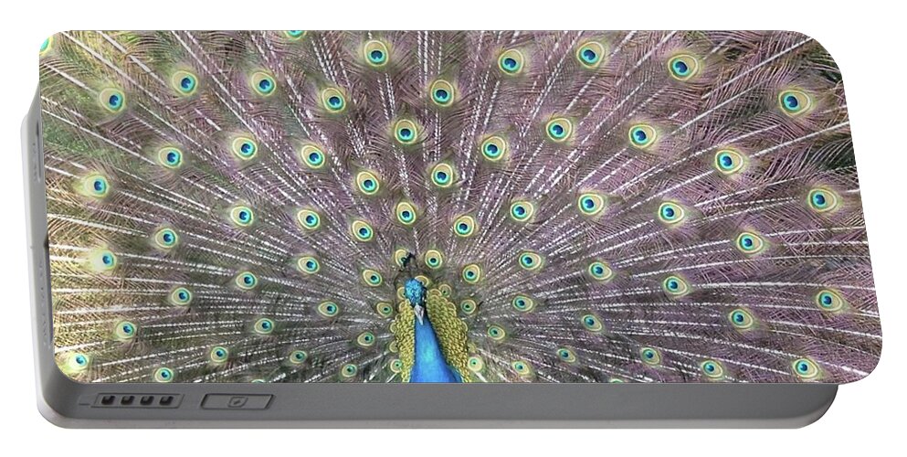 Peacock Puzzle Portable Battery Charger featuring the photograph Peacock Splendor by Kristina Deane