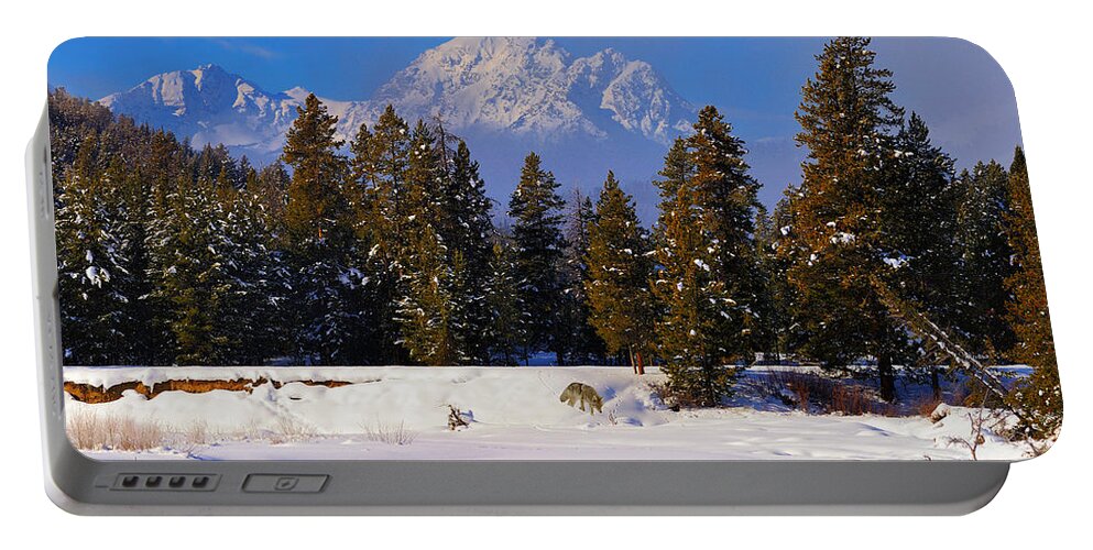 Tetons Portable Battery Charger featuring the photograph Peaking Through by Greg Norrell