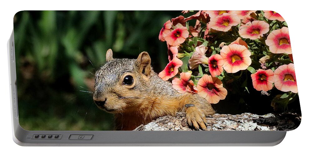 Nature Portable Battery Charger featuring the photograph Peek-a-Boo Squirrel by Sheila Brown