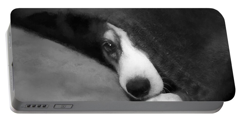 Stewie Portable Battery Charger featuring the photograph Peek-A-Boo by Theresa Campbell