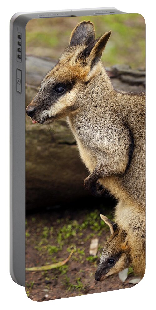 Wallaby Portable Battery Charger featuring the photograph Peeking at the World by Michael Dawson