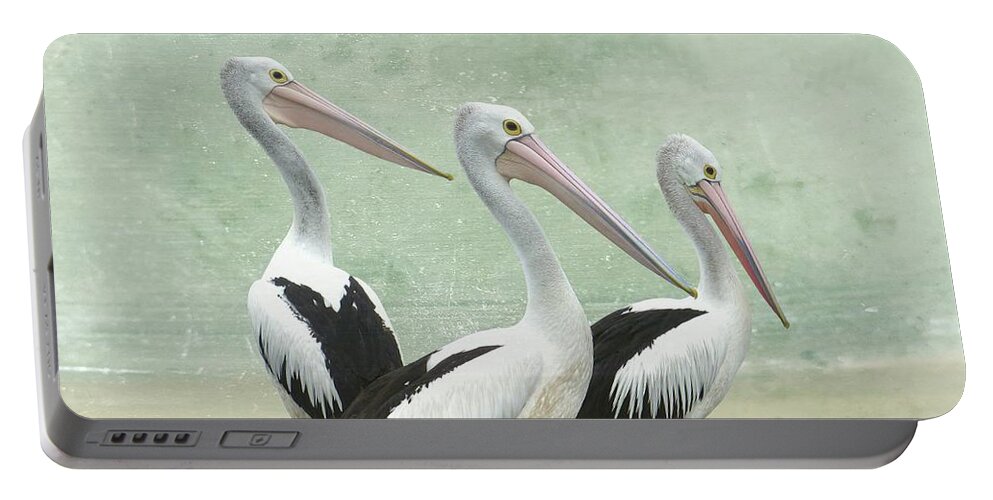 Pelican Portable Battery Charger featuring the painting Pelican Beach by David Dehner