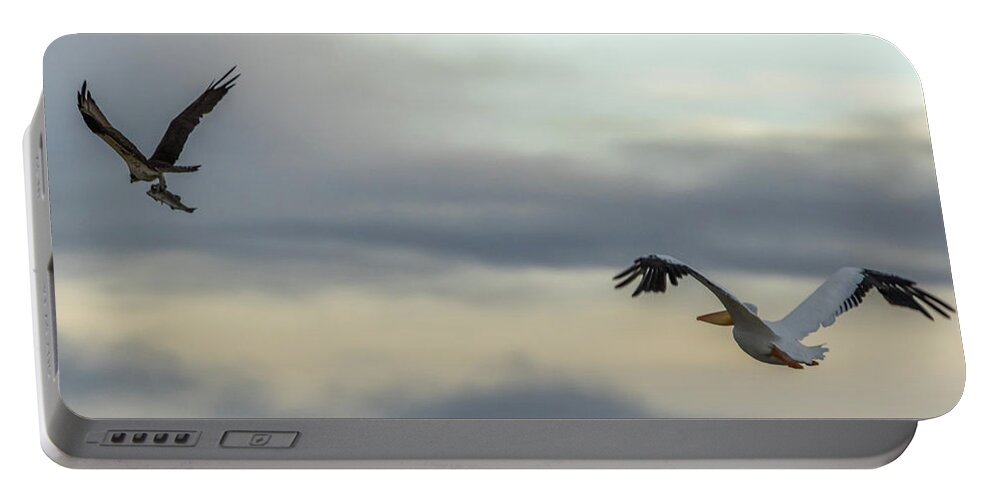 California Portable Battery Charger featuring the photograph Pelican Chasing Osprey by Marc Crumpler