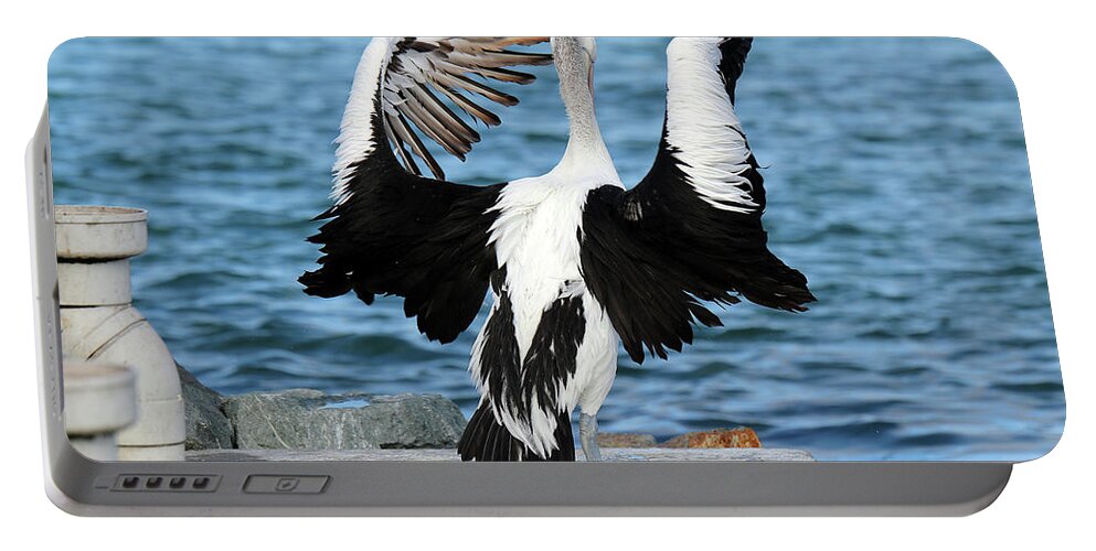 Pelicans Portable Battery Charger featuring the digital art Pelican Orchestra 01 by Kevin Chippindall
