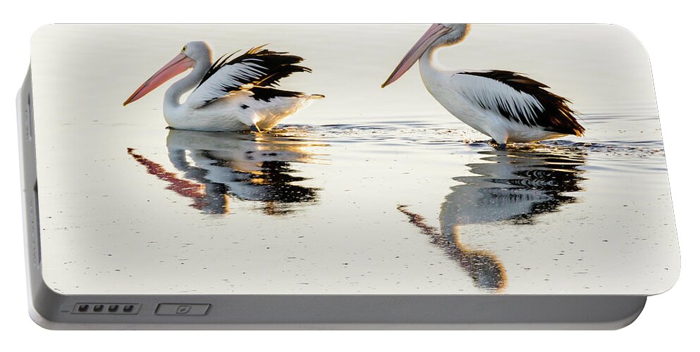 Bird Portable Battery Charger featuring the photograph Pelicans at Dusk by Werner Padarin
