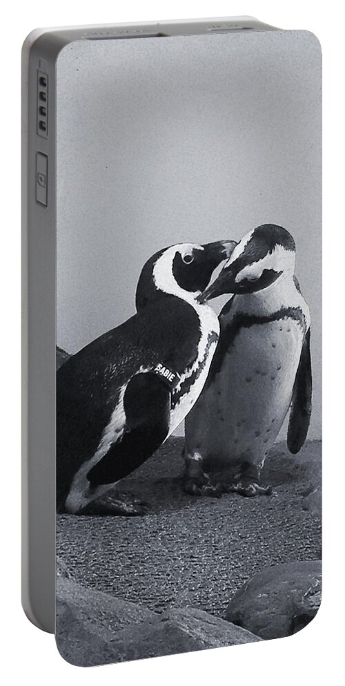 Penguins Portable Battery Charger featuring the photograph Penguins by Sandy Taylor