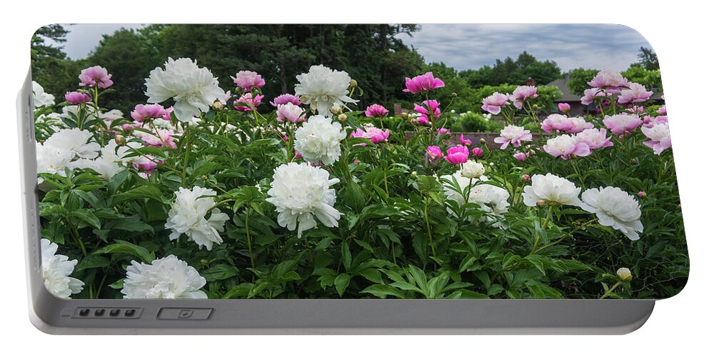 Peonies Portable Battery Charger featuring the photograph Peonies in Garden by Ann Moore