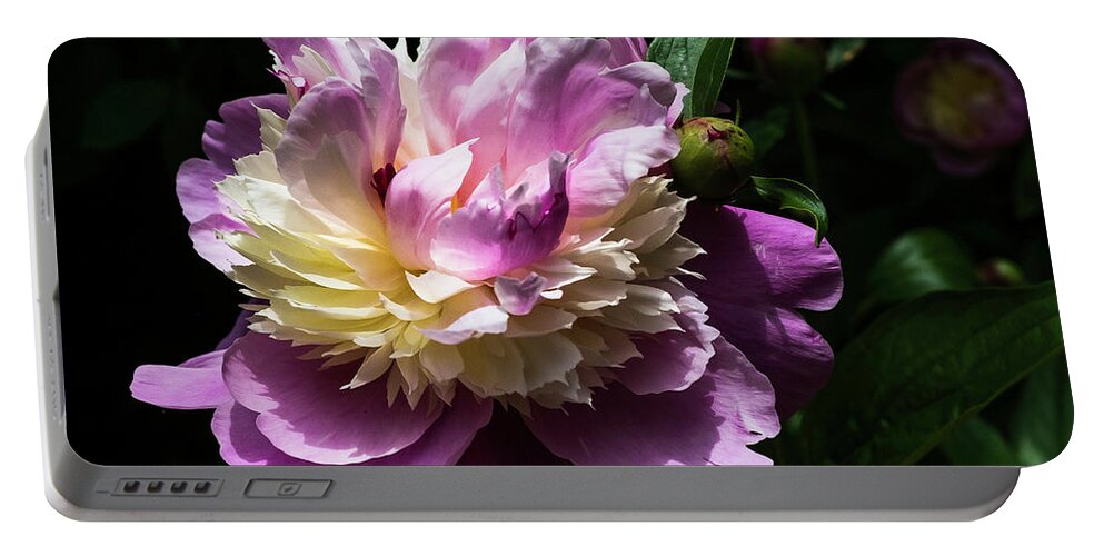 Spring Portable Battery Charger featuring the photograph Peony in June by John Roach