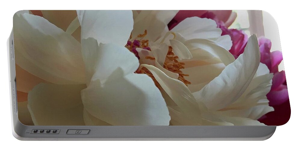 Light Color Composition Peony Portable Battery Charger featuring the photograph Peony Series 1-7 by J Doyne Miller