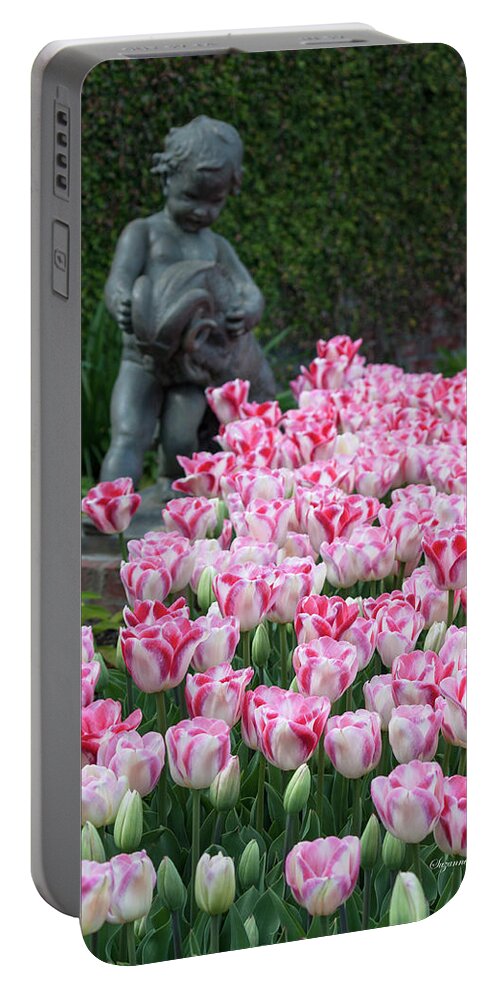 Photograph Portable Battery Charger featuring the photograph Peppermint Tulip Field by Suzanne Gaff