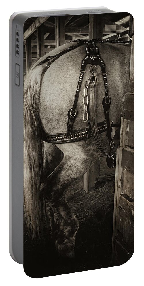 Horse Portable Battery Charger featuring the photograph Percheron Draft Horse by Theresa Tahara