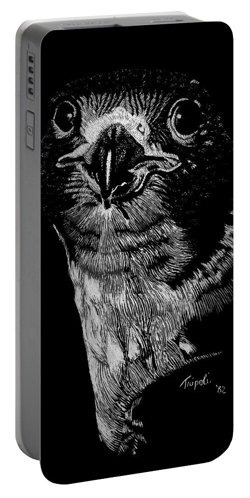Wildlife Portable Battery Charger featuring the drawing Peregrin Falcon by Lawrence Tripoli