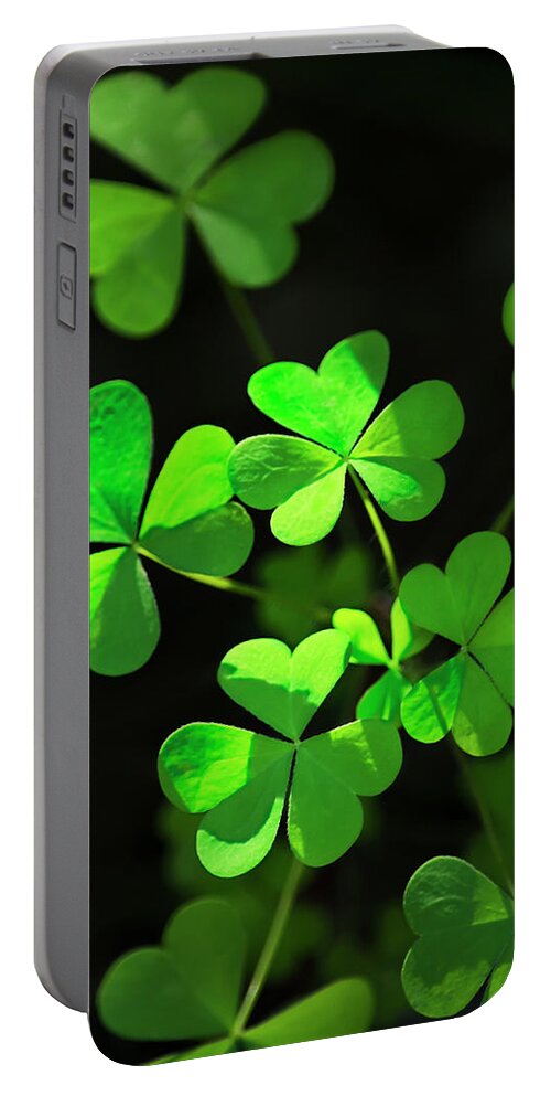 Clover Portable Battery Charger featuring the photograph Perfect Green Shamrock Clovers by Christina Rollo