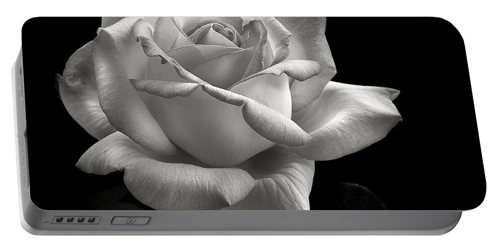 Perfect Rose Portable Battery Charger featuring the photograph Perfect Rose in Black and White by Endre Balogh