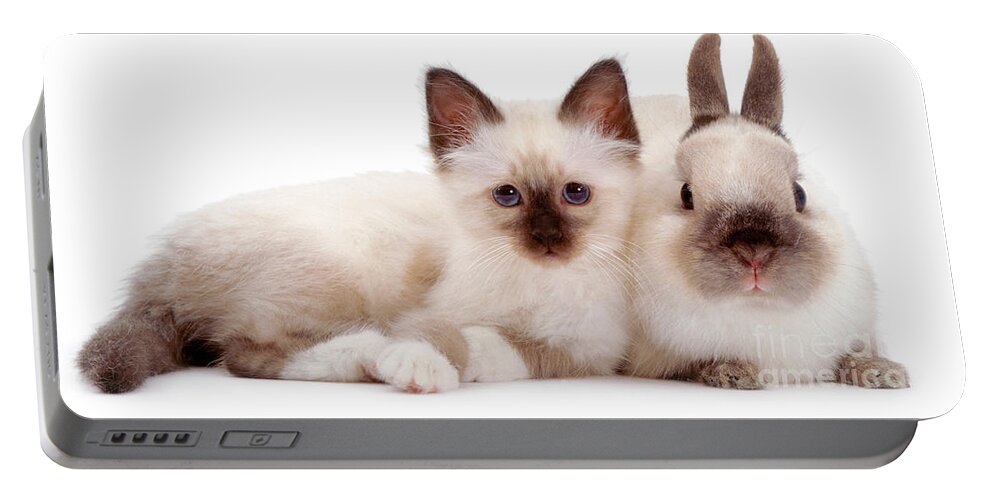 Netherland Dwarf Portable Battery Charger featuring the photograph Perfectly Paired Pals by Warren Photographic
