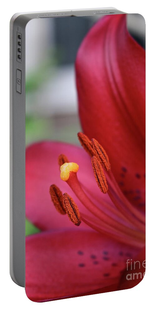Flower Portable Battery Charger featuring the photograph Perfectly Red by Susan Herber