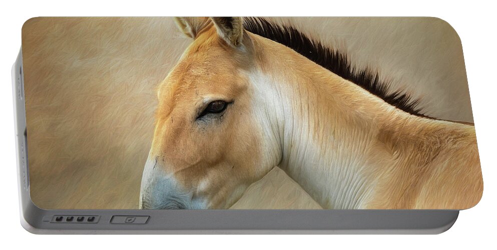 Onager Portable Battery Charger featuring the photograph Persian Onager by Tom Mc Nemar